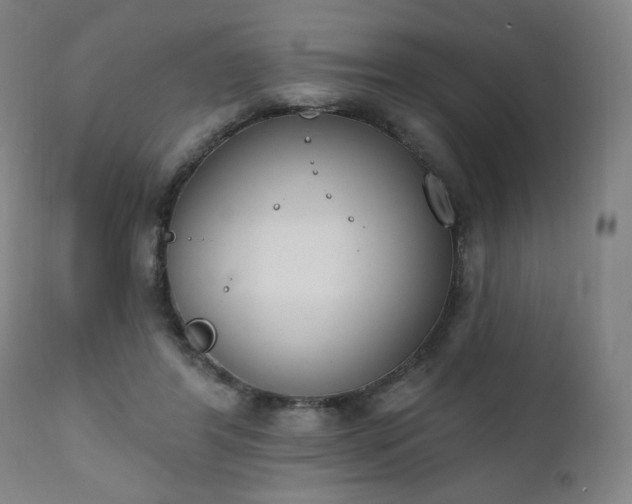 X0000111220404200907091317