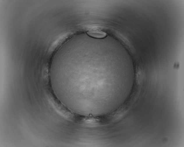 X0000111220407200907091317