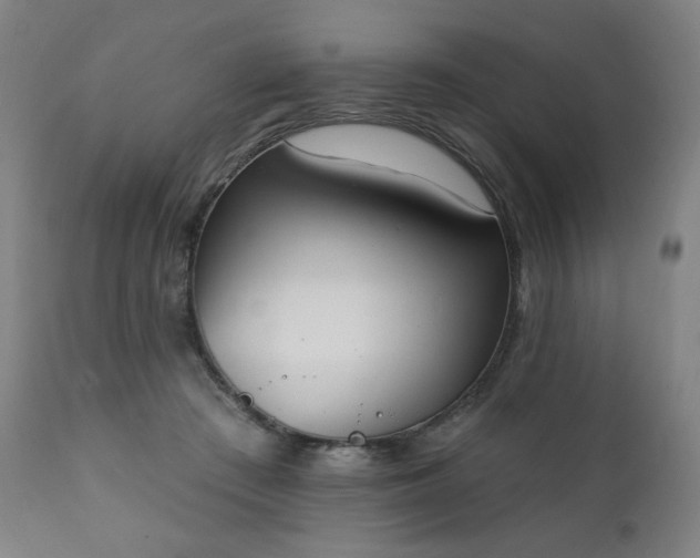 X0000111220409200907091317