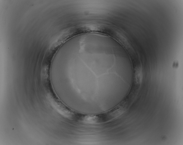 X0000111220410200907091317