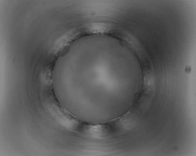 X0000111220411200907091317
