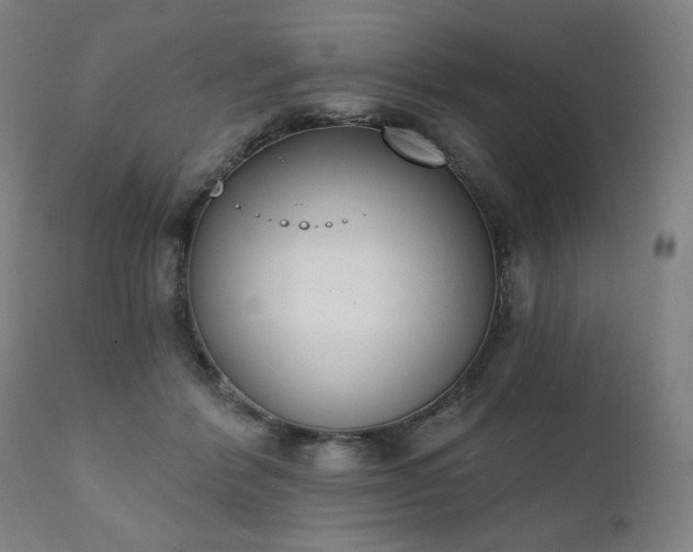X0000111220412200907091317