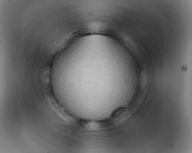 X0000111220413200907091317
