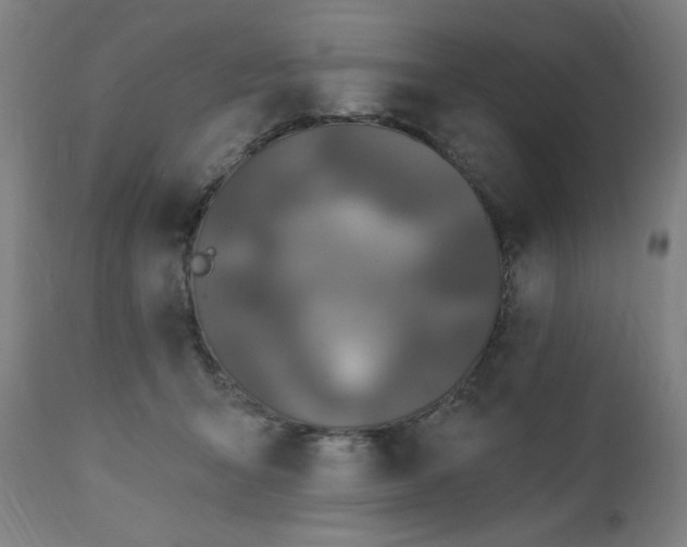 X0000111220415200907091317