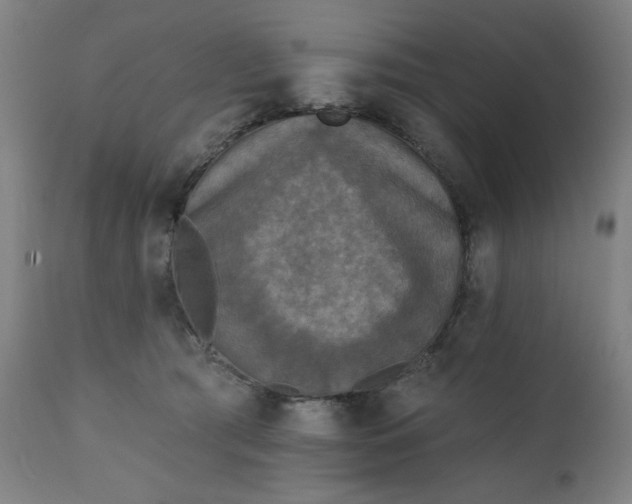 X0000111220417200907091317