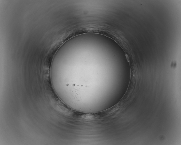 X0000111220419200907091317