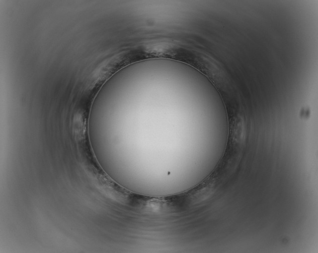 X0000111220420200907091317