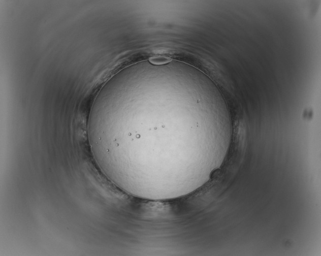 X0000111220421200907091317