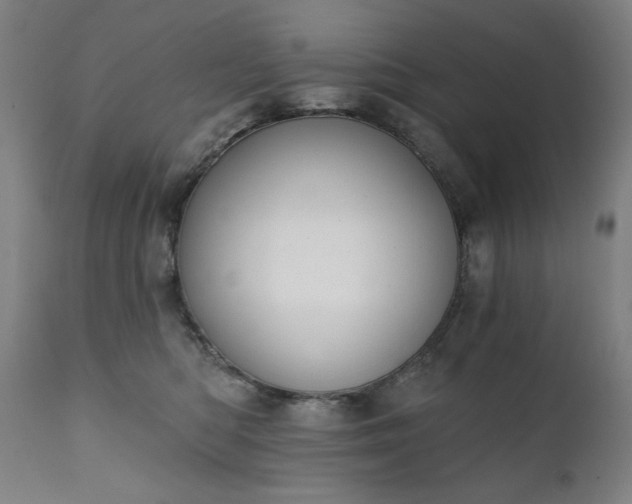 X0000111220422200907091317