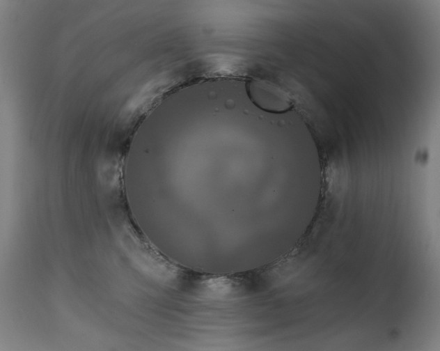 X0000111220423200907091317