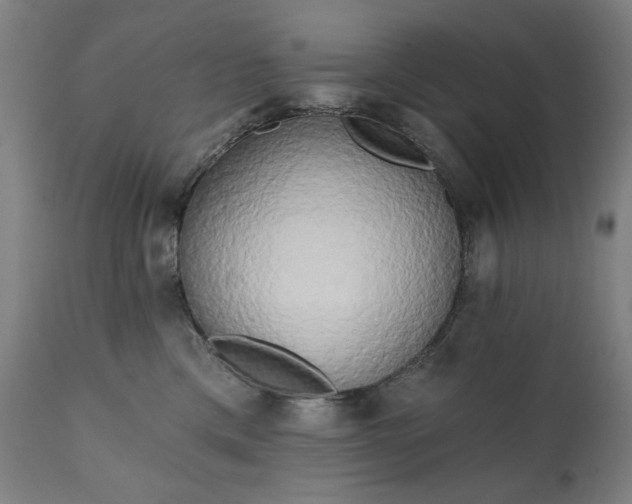 X0000111220425200907091317