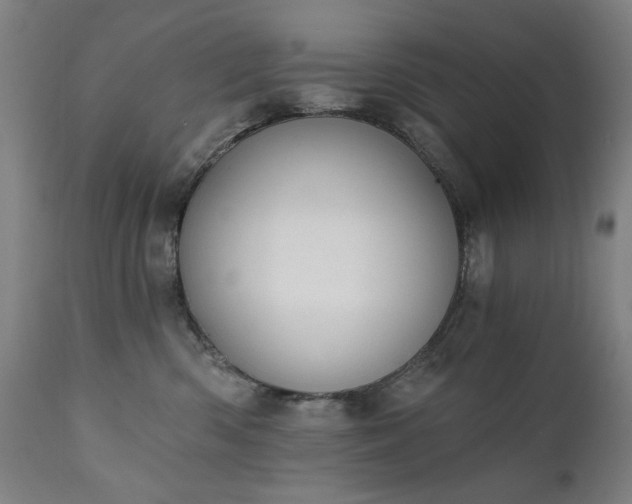 X0000111220426200907091317