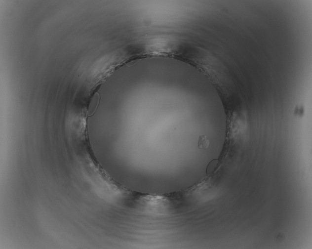 X0000111220427200907091317