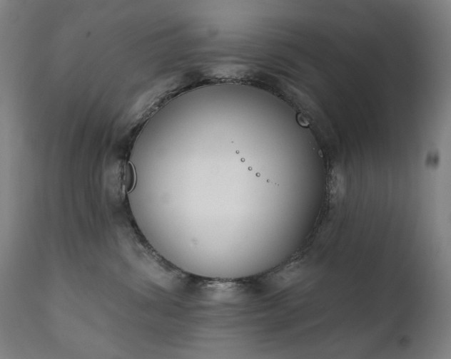 X0000111220428200907091317