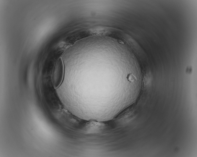 X0000111220429200907091317