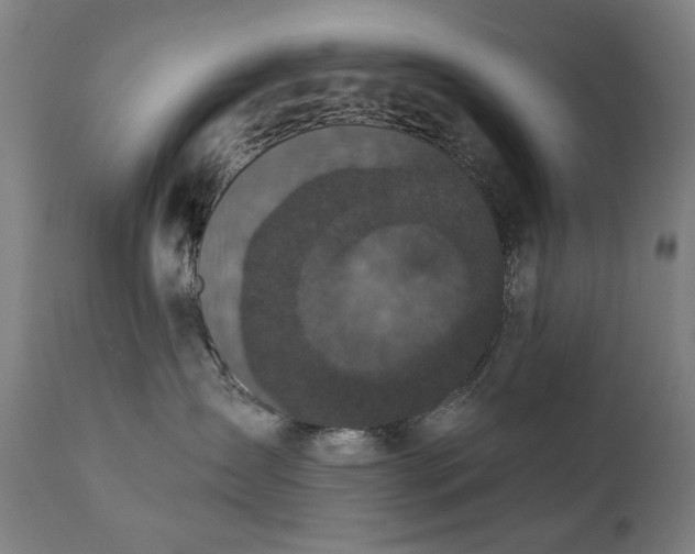 X0000111220431200907091317
