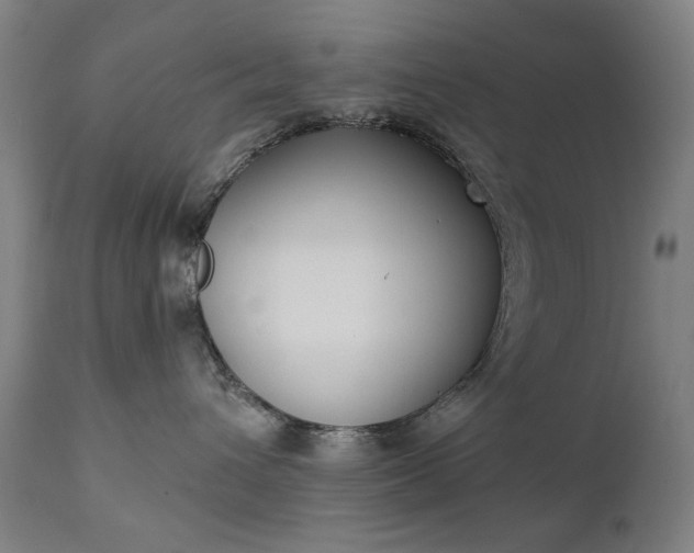 X0000111220432200907091317