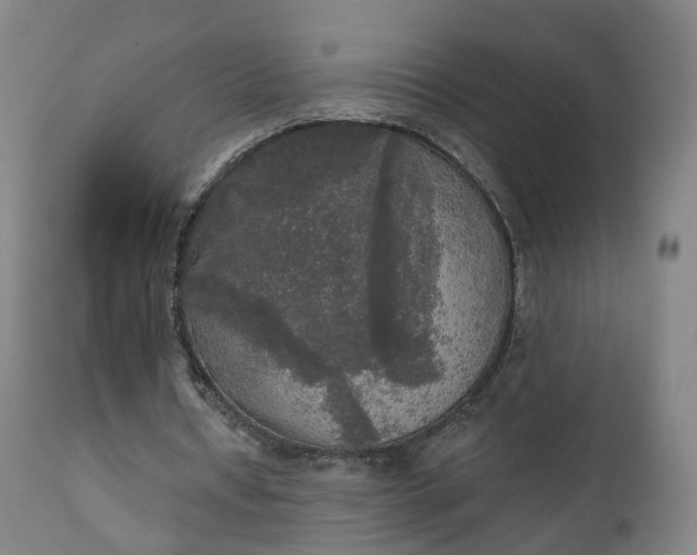 X0000111220434200907091316