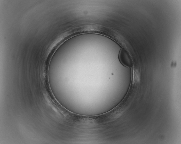 X0000111220435200907091316