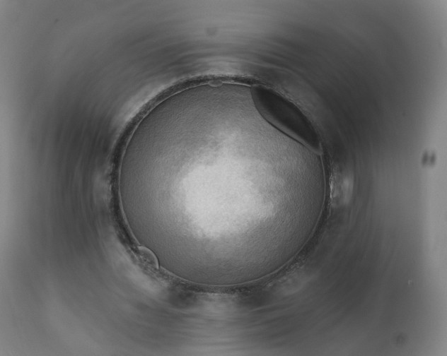 X0000111220436200907091316
