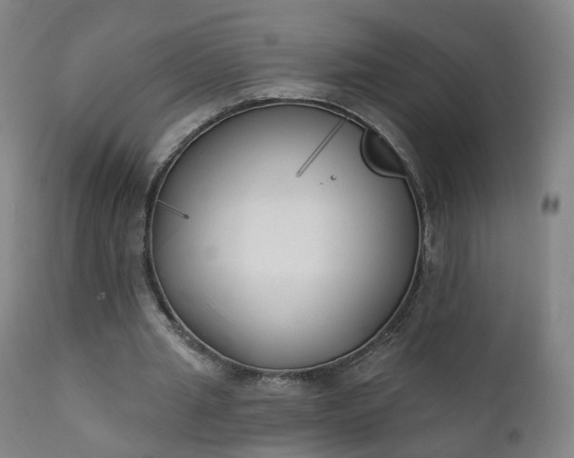 X0000111220437200907091316