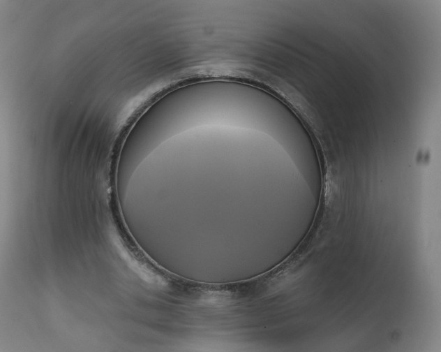 X0000111220438200907091316
