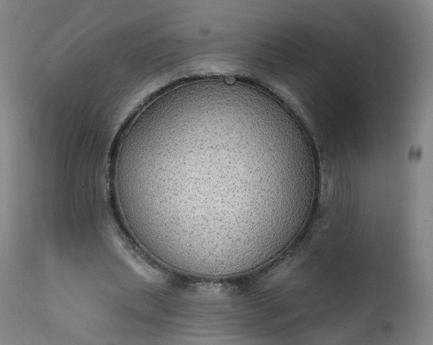 X0000111220439200907091316
