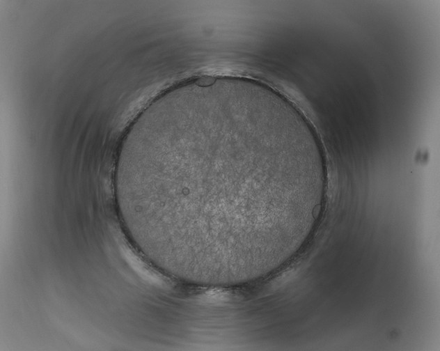 X0000111220441200907091316