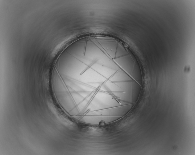 X0000111220442200907091316