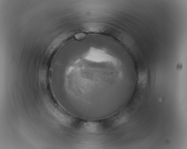 X0000111220444200907091316
