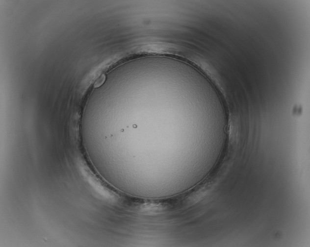 X0000111220445200907091316