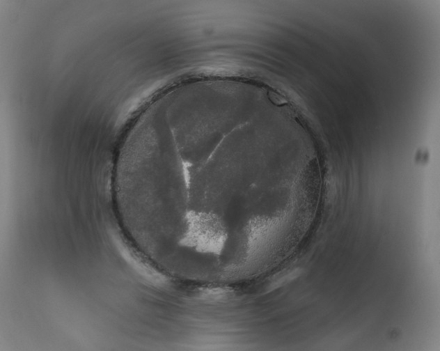 X0000111220446200907091316