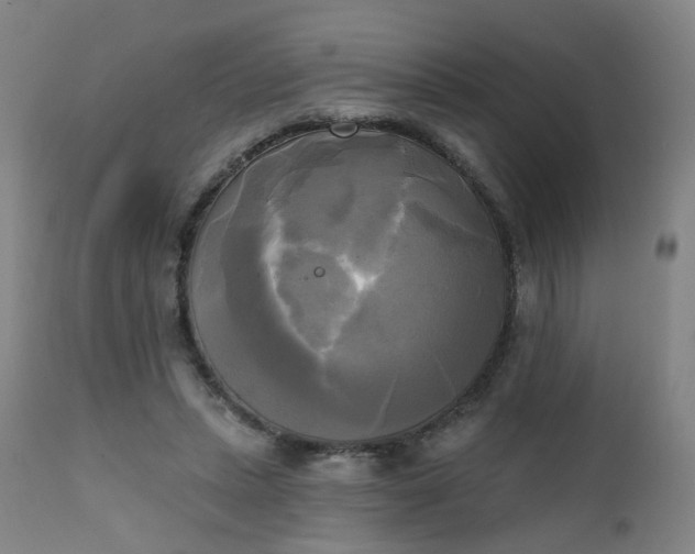 X0000111220447200907091316