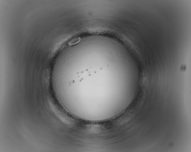 X0000111220448200907091316