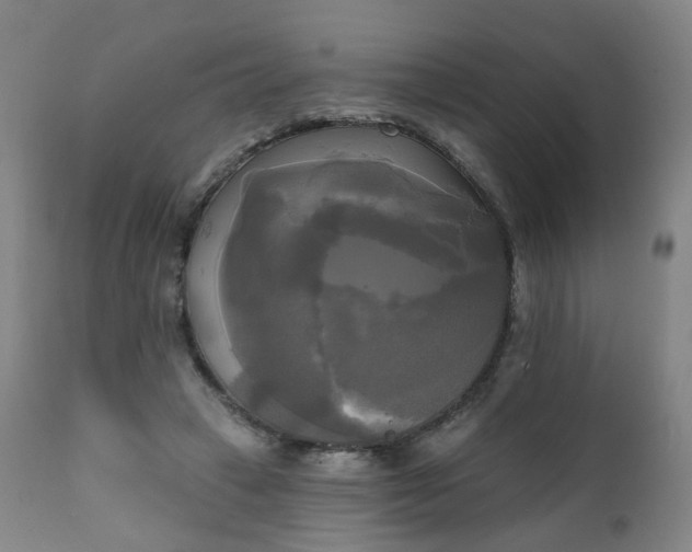X0000111220449200907091316