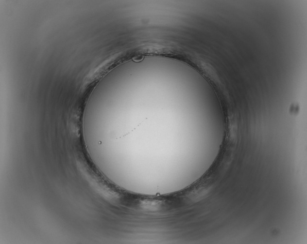X0000111220450200907091316