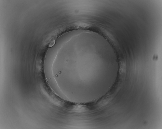 X0000111220451200907091316