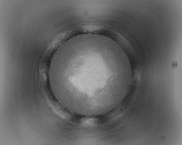 X0000111220452200907091316