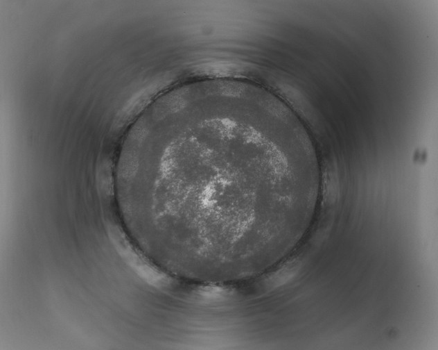 X0000111220453200907091316