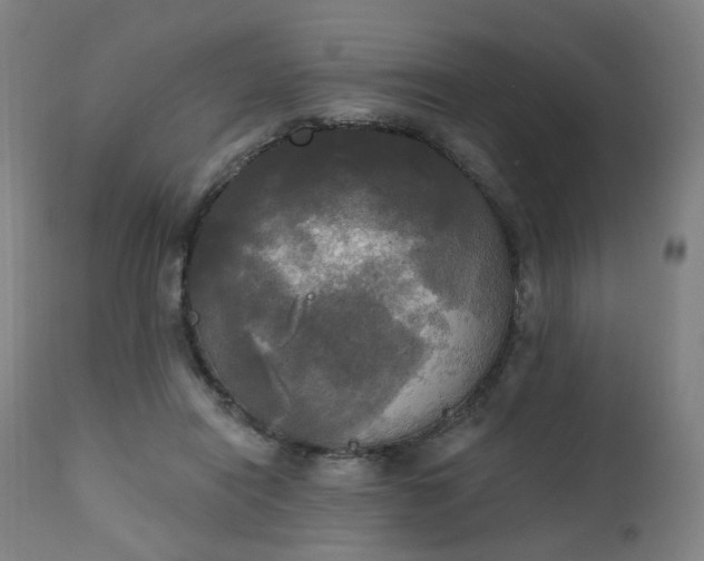 X0000111220454200907091316