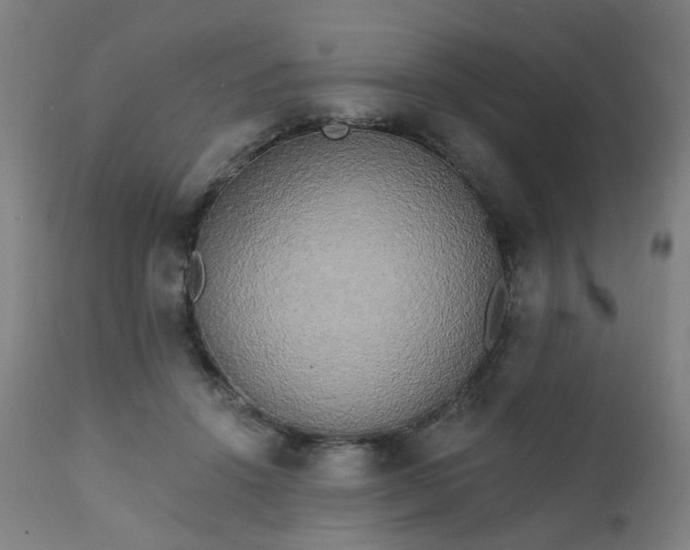 X0000111220456200907091316