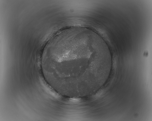 X0000111220457200907091316