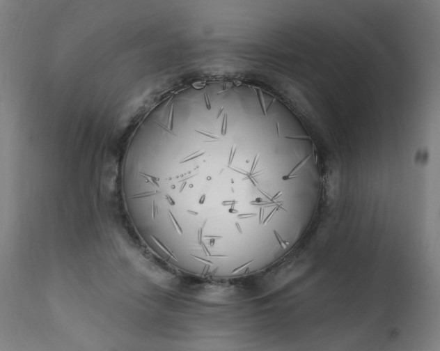 X0000111220458200907091316