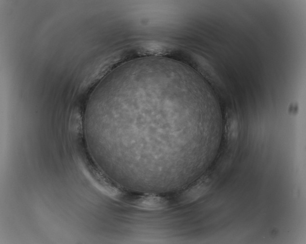 X0000111220459200907091316