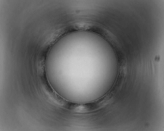 X0000111220460200907091316