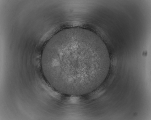 X0000111220462200907091316