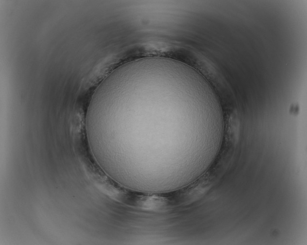 X0000111220463200907091316