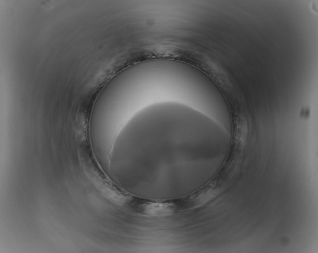 X0000111220465200907091316