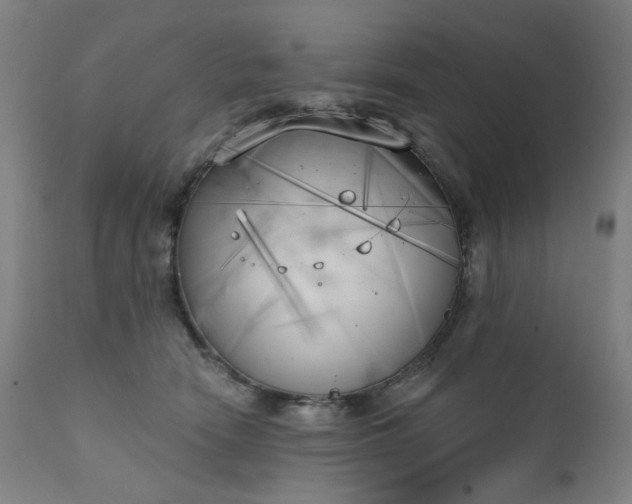 X0000111220466200907091316