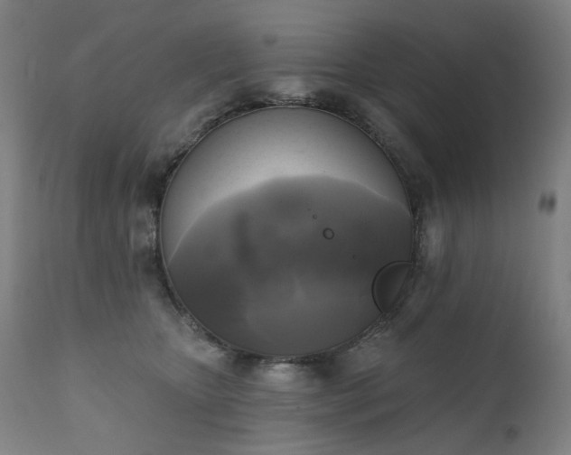 X0000111220467200907091316